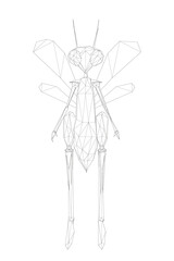 Wireframe low poly humanoid dragonfly. The line beetle stands on two legs. Front view. Vector illustration