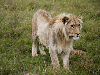 South Africa