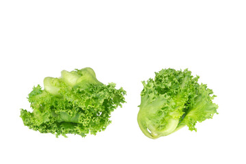 Two fresh organic frillice iceberg on isolated white background