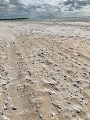 footprints on the beach