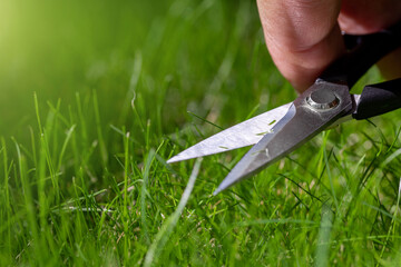 Close-up detail view of man hand cutting green grass on backyard garden with small nail scissors on bright summer sunny day. Accurate perfect lawn mowing care maintenance and service concept