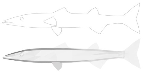 Set with fish. Low poly fish and its outline. Side view. Vector illustration