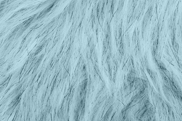 Teal fake fur textured material background