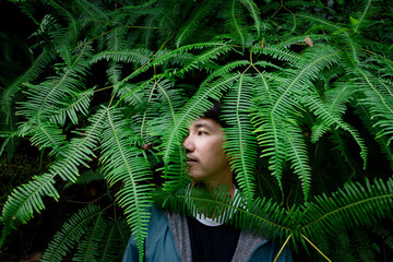 Man in green hoodie with zipper standing in bush of fresh firn leaves, Portrait of Asian man in nature