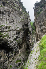 The Kurtatin Gorge in North Ossetia-Alania