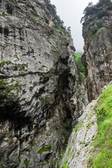 Fototapeta na wymiar The Kurtatin Gorge in North Ossetia-Alania