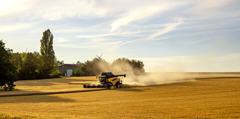 Fototapeta premium Panoramic view at combine harvester working on a wheat field. Harvesting the wheat. Agriculture. Panoramic banner.
