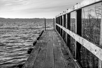 Obraz premium Wharf or jetty extending out over a lake with reeds to one side (in black and white)