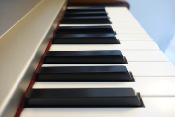 Piano keyboard close up. Black and white photo of piano