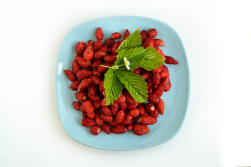 Many red strawberries in blue plate, with leaf and flower, fresh harvest from the garden, raw food on wooden table