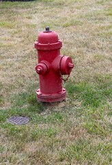 A close view of the red fire hydrant in the green grass.