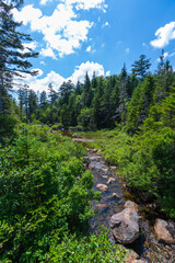 Fototapeta na wymiar Beautiful river scenery in the White Mountains of New Hampshire in the heat of the summer.