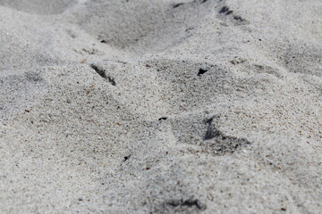 Sand