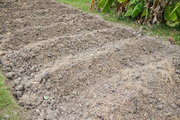 soil preparation for sowing vegetable in field agriculture