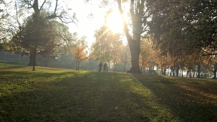 Sonnenschein im Herbst