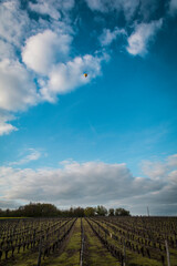 Balloons flying the the sky above the Loire Valley in France