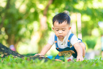 Little 1 year boy crawling on green grass under tree park