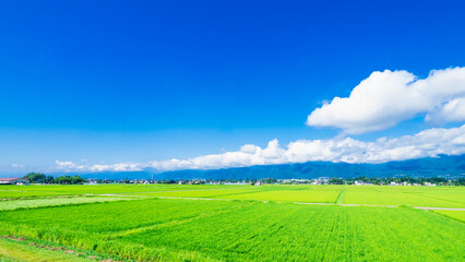 夏の信州　安曇野の田園風景　ワイド