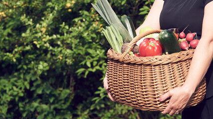 Farmer woman holding wicker basket full of fresh raw vegetables. Basket with vegetable in the hands outdoors. Cucumber, zucchini, beet, kohlrabi, garlic, carrot, potato, tomato, onion. Selective focus