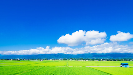 夏の信州　安曇野の田園風景　ワイド