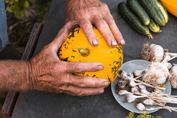 Grandfather's hands in the mud holding a pumpkin, gardener against the background of seasonal vegetables