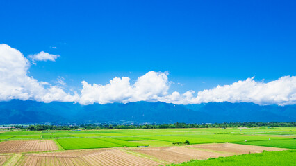 夏の信州　安曇野の田園風景