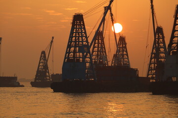 Obraz premium cranes at sunset