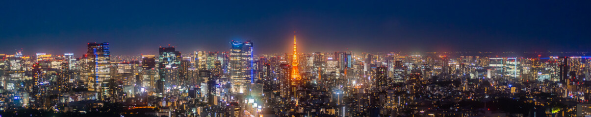Fototapeta na wymiar Night view of Tokyo, Japan, Panoramic View