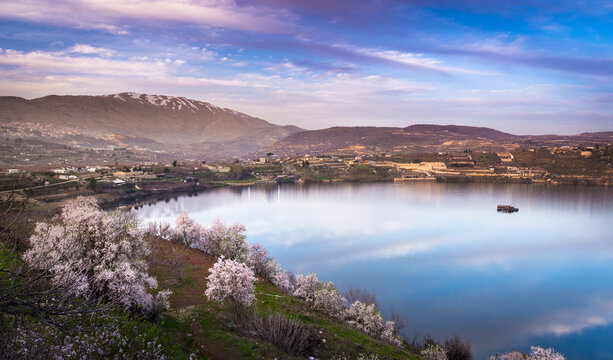 Beautiful sunset clouds over Lake Ram (Birkat Ram), a crater lake (maar) in the northeastern Golan Heights, with snow-capped Mount Hermon in the background and blossoming almond trees