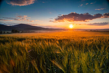 sunset over the field