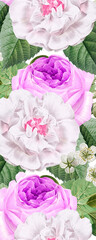 horizontal seamless borders with pink and white roses