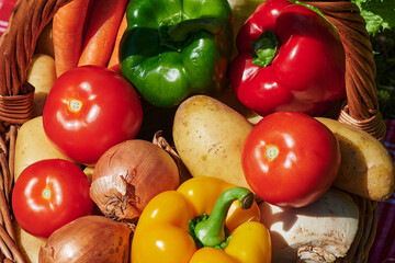 Macro shot of a basket of various vegetables in the sunlight.