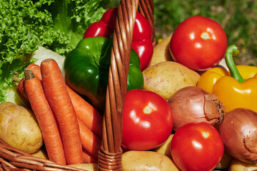 Macro shot of a basket of various vegetables in the sunlight.