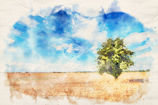 Lonely tree in the fields over blue cloudy sky - waterpain image