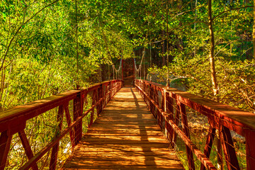 Fototapeta premium Suspension footbridge to Zumwalt Meadow. Zumwalt hiking in Kings Canyon National Park, a large clearing in the forest with wildflowers and the surrounding cliffs of Kings Canyon.