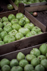Green tomatoes in wooden boxes. Harvesting. Village life.