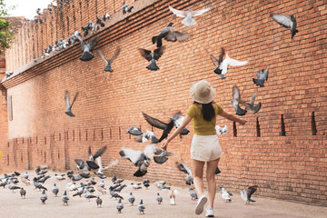 Female tourists  enjoy walking and watching birds at tha Phae Gate Chiang Mai old city ancient wall...