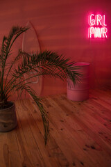 Obraz premium big palm with pink serf and pink iron barrel are standing near pink wall background with pink neon lamp with text 