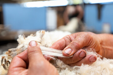 hands stretching merino wool to test strength