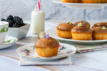 Freshly  baked blackberry and almond friands