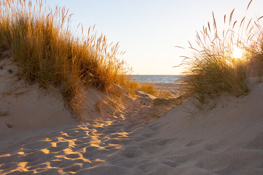 looking through dune grasses on sand dune to the ocean