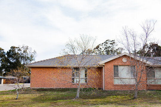 Trees beside house in suburban area