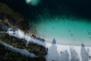swimmers at the lake