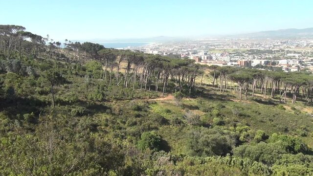 Summer day video of Cape Town panorama shot from Rhodes Memorial, Western Cape, South Africa
