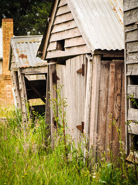 Rustic shed with hinged timber door