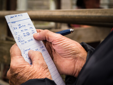 Stock agent and his notes for the day at the cattle sale
