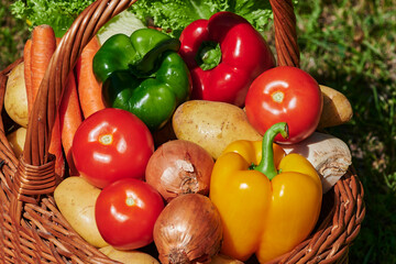 Macro shot of a basket of various vegetables in the sunlight.