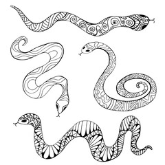 Coloring page collection with decorative ethnic snakes, isolated on white background.