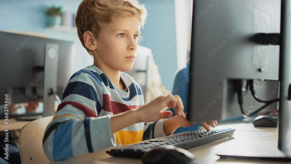 Poster elementary school classroom: smart boy uses personal computer, learning how to use internet safely, 