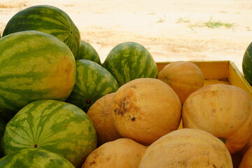 Fresh watermelons and other summer melons for sale at a farmers market in New Jersey